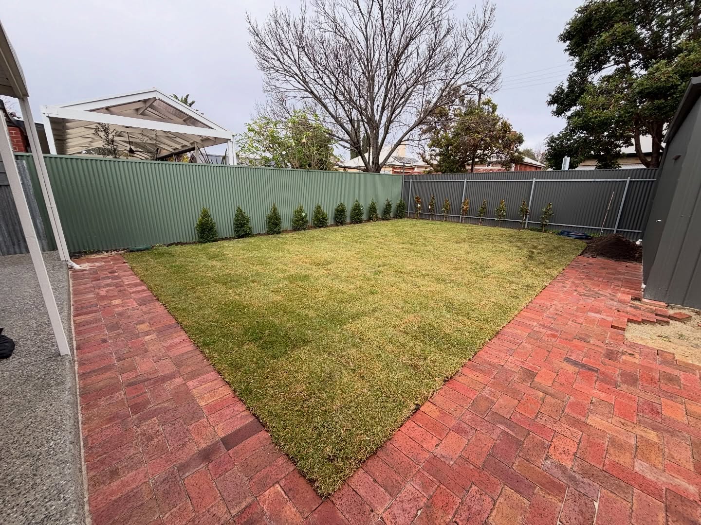 Backyard transformation photo 4