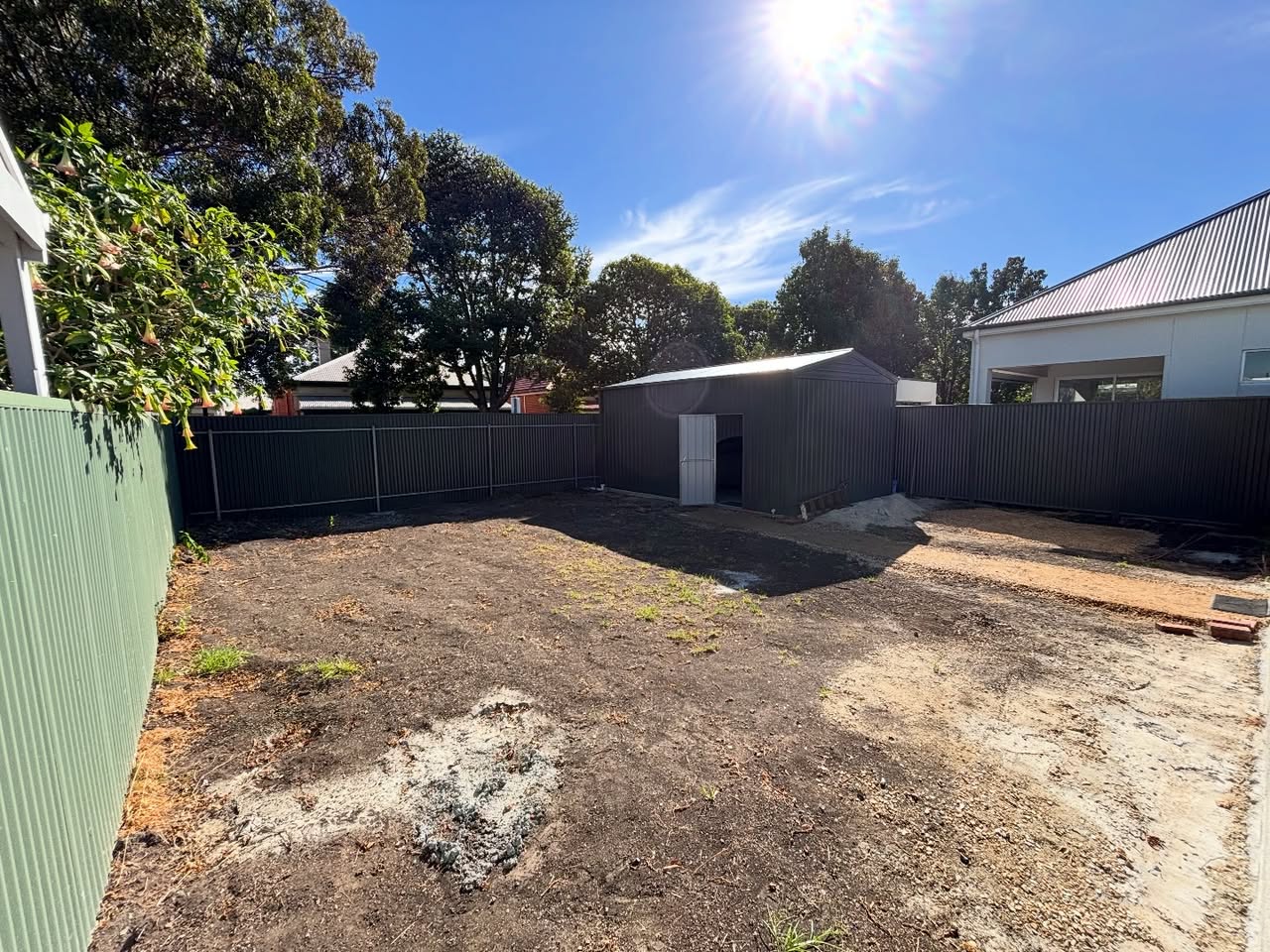 Backyard transformation before
