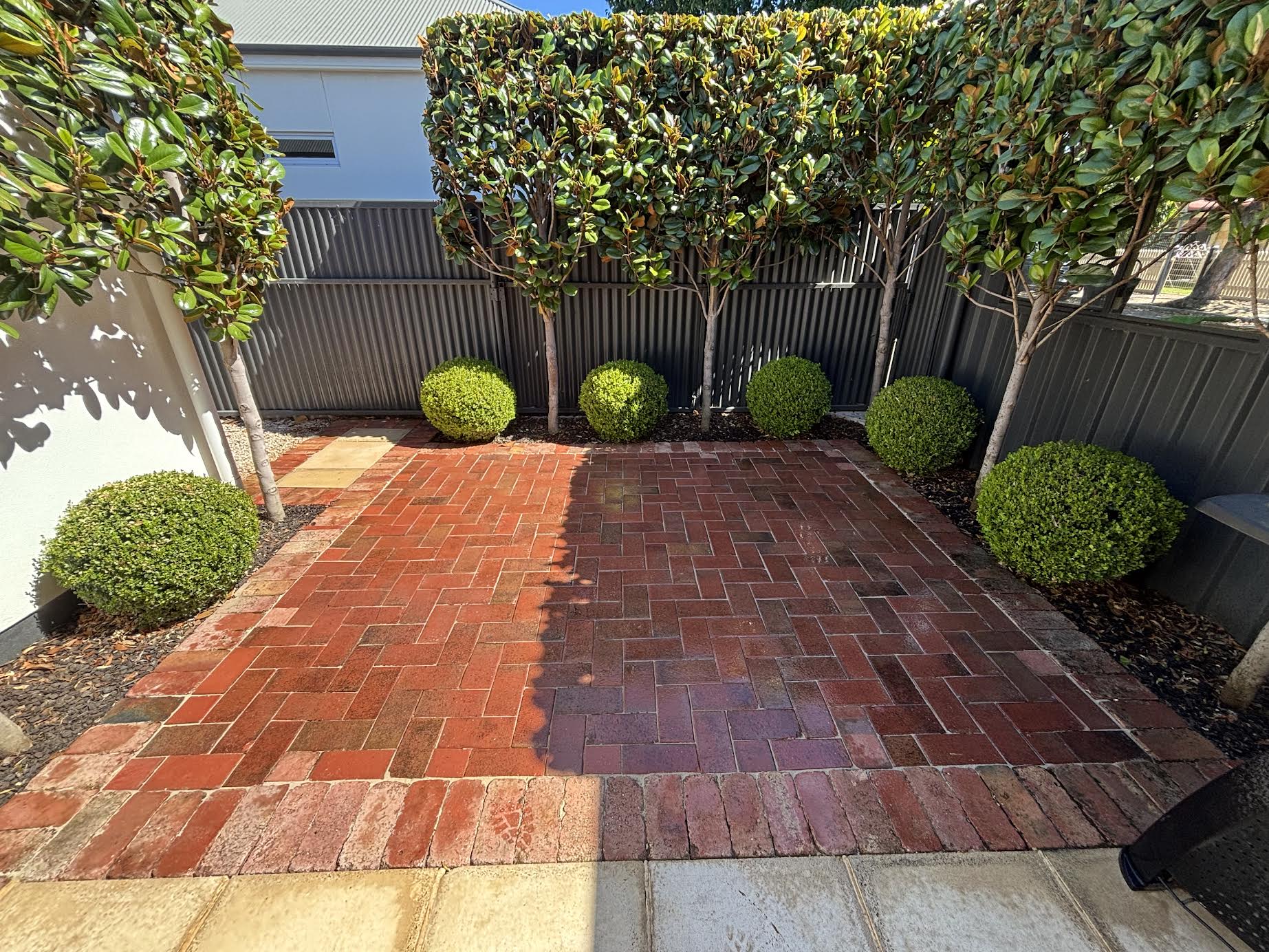 Courtyard with brick paving, clipped topiary and a pleached hedge against a charcoal fence